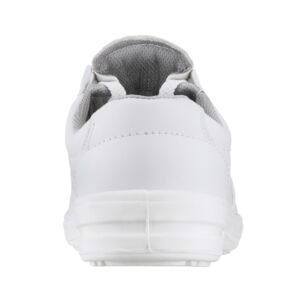 6250_3_s